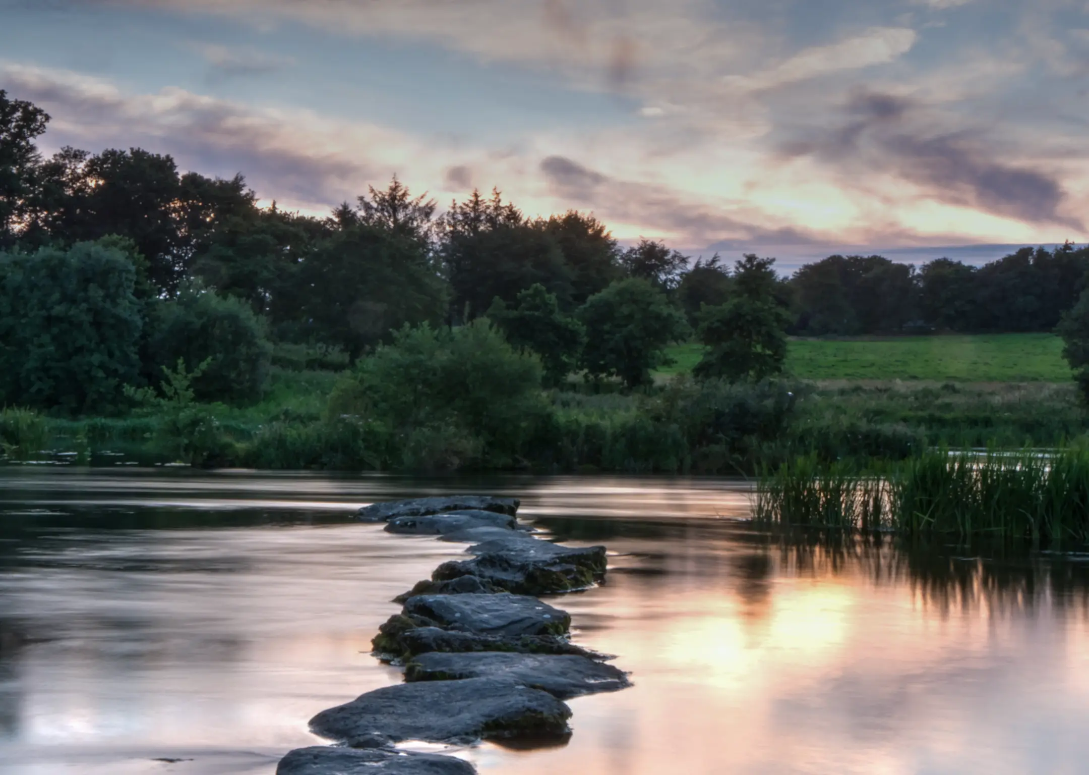 Alfrespa stepping stones